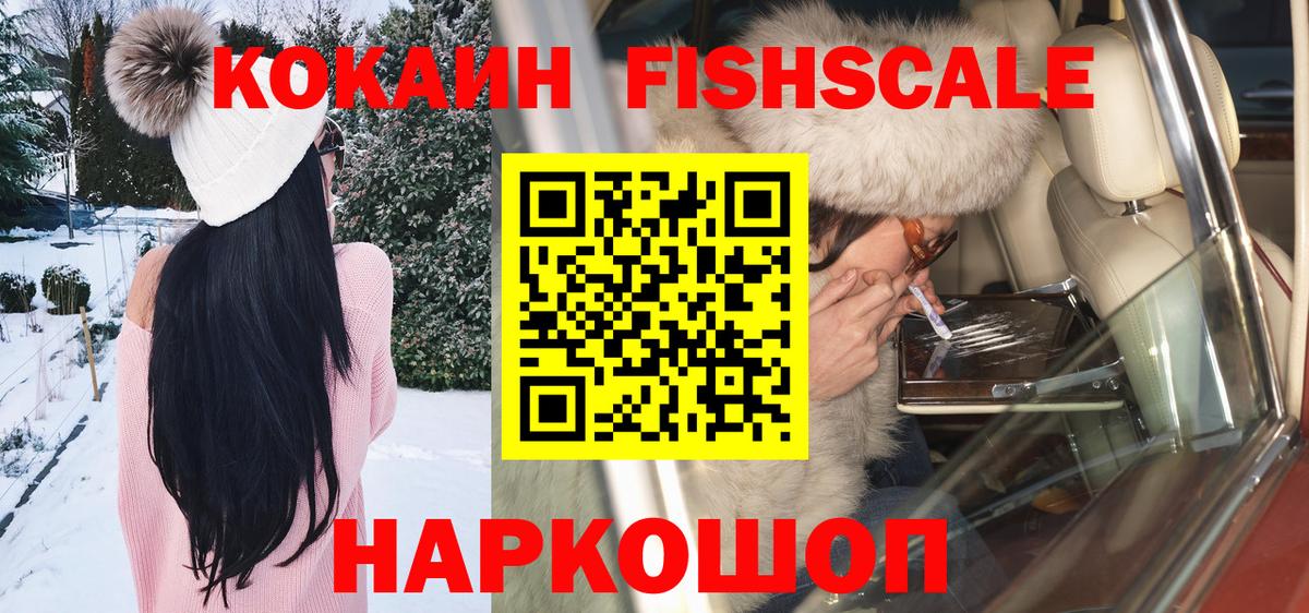 COCAIN FishScale  где купить   Вход с VPN  Торжок  COCAIN Fish Scale 