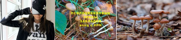 соль ск Абдулино
