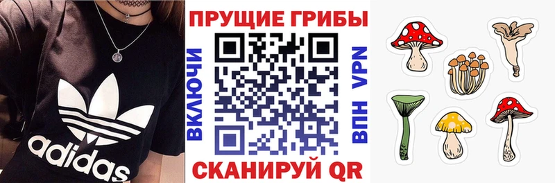 Псилоцибиновые грибы Magic Shrooms  Торжок 